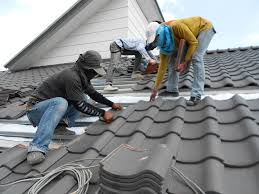 Best Sheet Metal Roofing  in Buckhannon, WV